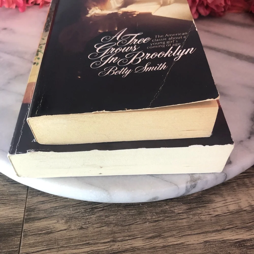 CHILD OF THE RIVER & A TREE GROWS IN BROOKLYN 2 paperback books historical